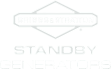 Briggs Generators